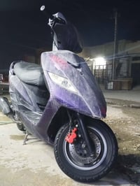ثعلب • نضيف • بغداد
