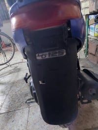 فراشه • فحل • مجفته