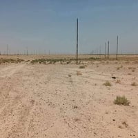 الفلوجه • ٢٥٠م • طابو ملك صرف