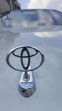 مكفولة • تحويل ثاني يوم • رقم بصره