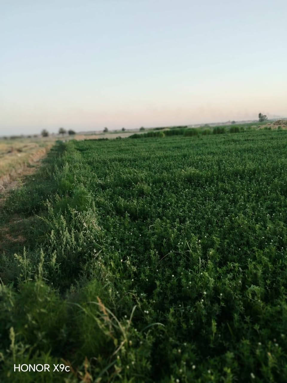 السلام عليكم قطعة أرض زراعيه اصير عليه شارعين  مساحه دونمين بسنجك صناعه جوه قريب عل مشروع صناعه وقريبه من شط تبعد ٢٠٠متر او اكثر للتفاصيل اكثر الاتصال عل رقم #مكلف ب نشر ***********
