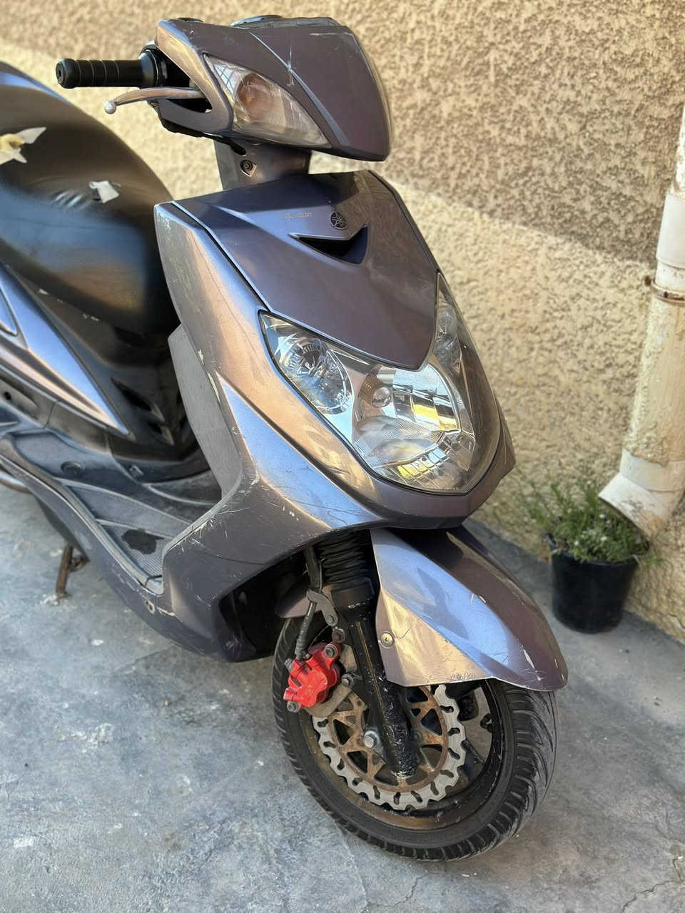 سلام عليكم سكنس فحل للبيع دراجه ختم واحد حته السوادات  مكينه خرسه كامله مكمله كهربايات كلها شغاله نكره سلف بكل وقت اوراق بيها مال معرض مكاني الشعله سعر ٦٥٠ وبيها مجال قليل وبيها كلجات رياضي ( ملاحضه الصالنصه مو وياها انطيك البلاديه)
