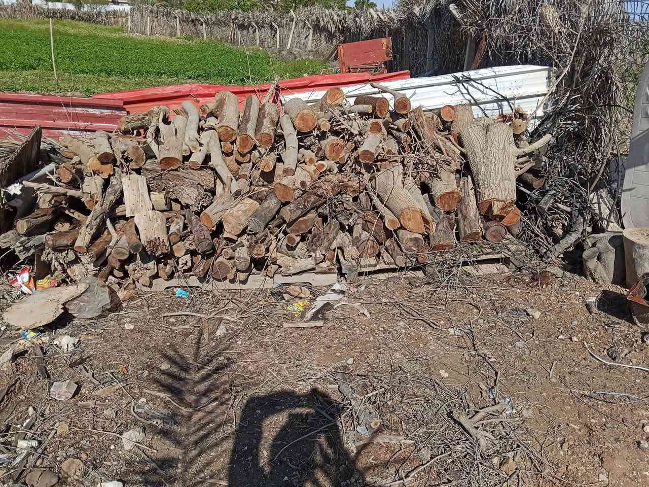 بسم الله..
حطب للبيع مال توث وكالبتوس
گصات مثل ما موضح خشنة قيم واخذ بما يرضي الله
مكاني سد حديثة للاستفسار خاص 
***********
