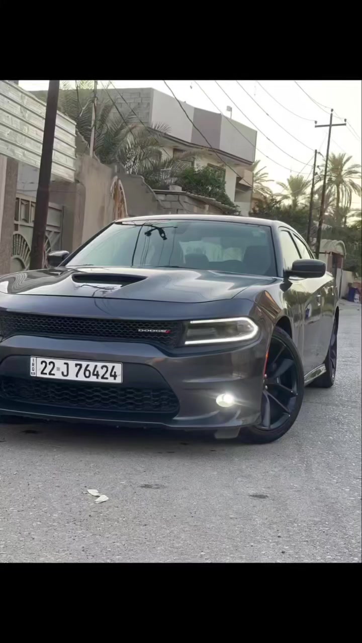 السلام عليكم جارجرموديل 21 GT فول مواصفات عده الفتحه بيها صبغ صفحه شرط بدون دواخل وبدون ايرباك وصور الحادث بالمنشور السياره ماشيه 51 كير ومحرك كفاله تخم تاير جديد رقم شمالي شرط التحويل سعرها 198 وبيها مجال مكاني ديالى تقاطع القدس***********
