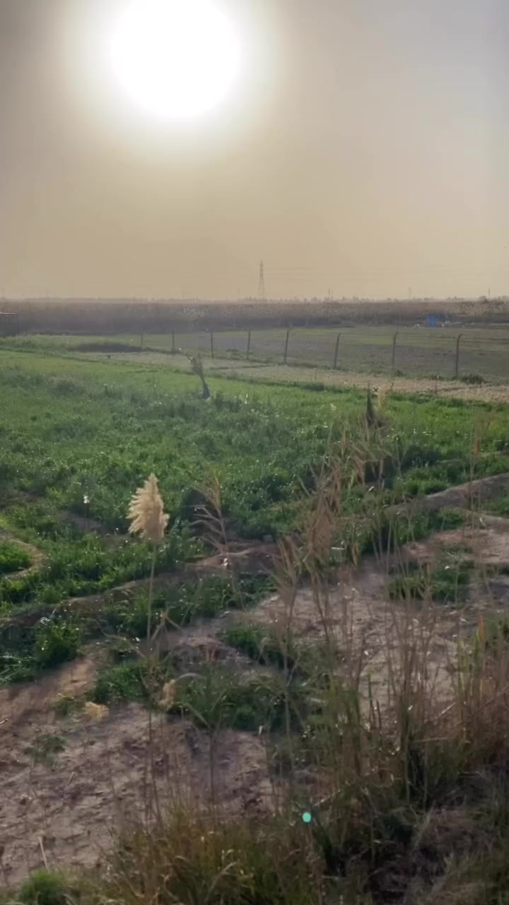 السلام عليكم ارض للبيع المساحة ٢ دونم
تحتوي على أشجار فواكه و حمضيات عمر سنة 
وأنواع نخيل جيدة 
وبئر ماء صالح للسقي 

الموقع 📍قرية ٩ نيسان تقاطع النهروان تقع على المشروع الرابع الصب 

للتواصل ***********
