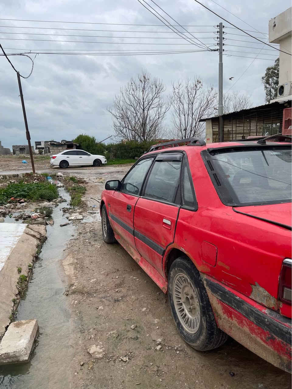 سەرتا بە ناوی خوا ئەم گوڵە سورەم بۆ هیناون ماڵی دۆست ماڵی فەقیر. مازدا ٦٢٦ ئاڕم پلاستییکی هەولیر مەکینە ٨وبەخ ٤ جام کاربای  تەبرید گەرم  تنزیلو سماعەی ئیش دەکا. کاربایتی هەموی بەشەرت.  سعری ئەم سەیارە هەرزانە. ١٢ گەڵا یەک تۆز معاملەی تیدایە بەڵام زۆر نا  کاکە گیان هەموو شتکم نوسیە. لۆیە ئەگور مشتری نەبوی تکایە بیزارم  مەکە  لە هەولیرم *********** أربيل, العراق
