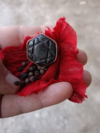 للبيع هبهاب افريقي يوجد توصيل لجميع المحافضات 07719843189