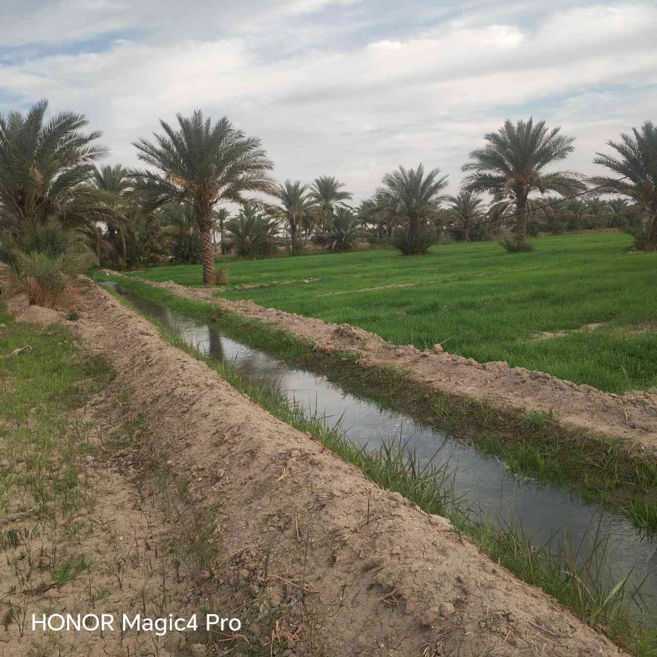 السلام عليكم اخواني الأعزاء
يتوفر لدينا 10دونم طابو ملك صرف بستان 

خدمات الأرض ماء سقي كهرباء أسألة سكن خدمات الأرض كاملة تصلح انشاء مزارع أو شاليهات أو استثمار 
موقع الأرض مميز جدا 
البصام على طابو الكاظمية فتح بيان وتحويل

فرصة ذهبية 

تبعد عن مركز مدينة بغداد نص ساعة أو أقل 

للإستفسار أكثر مراسلة الصفحة أو الاتصال على الأرقام التالية ***********📞
***********📞
***********📞
