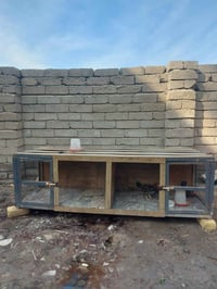 حاضنه خانتين • بصرة القرنه