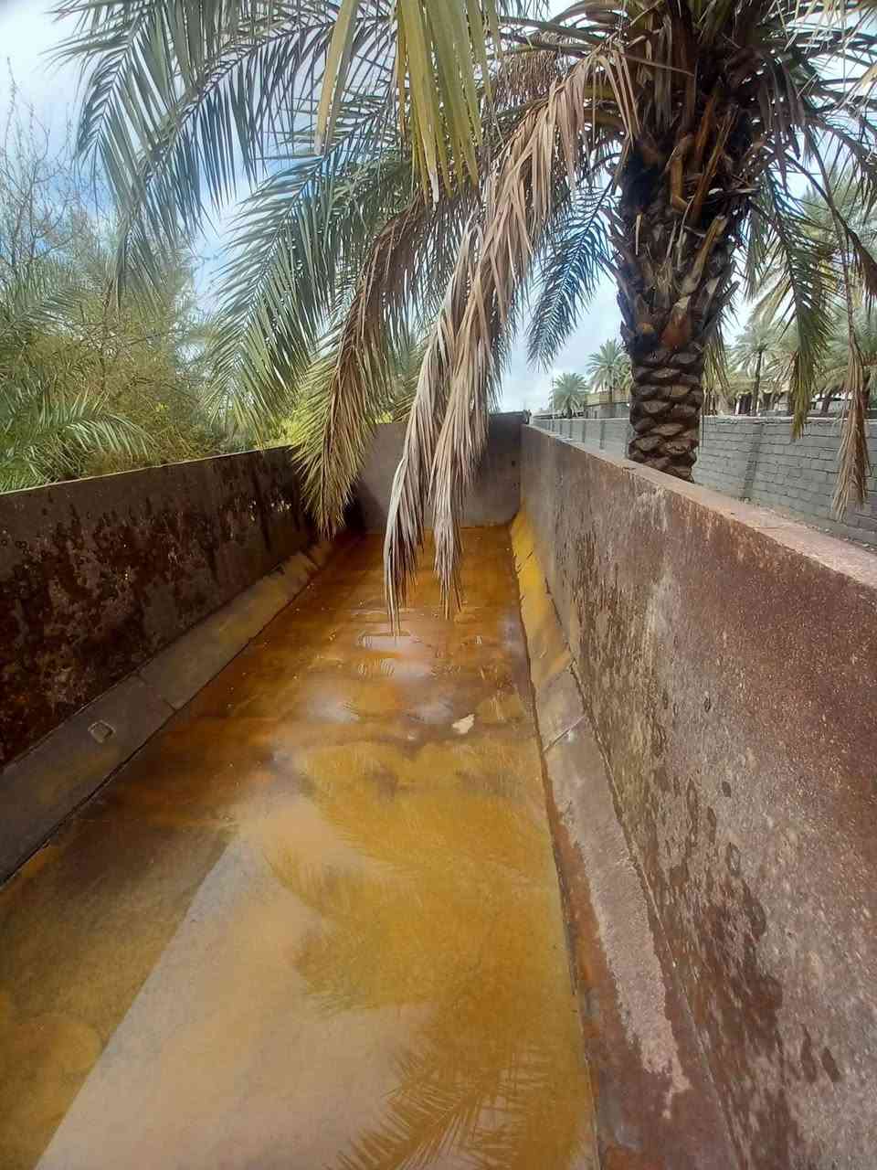 ***********. *********** بيع مستعجل
