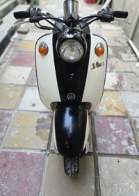 فينو • مصرية • مكفوله