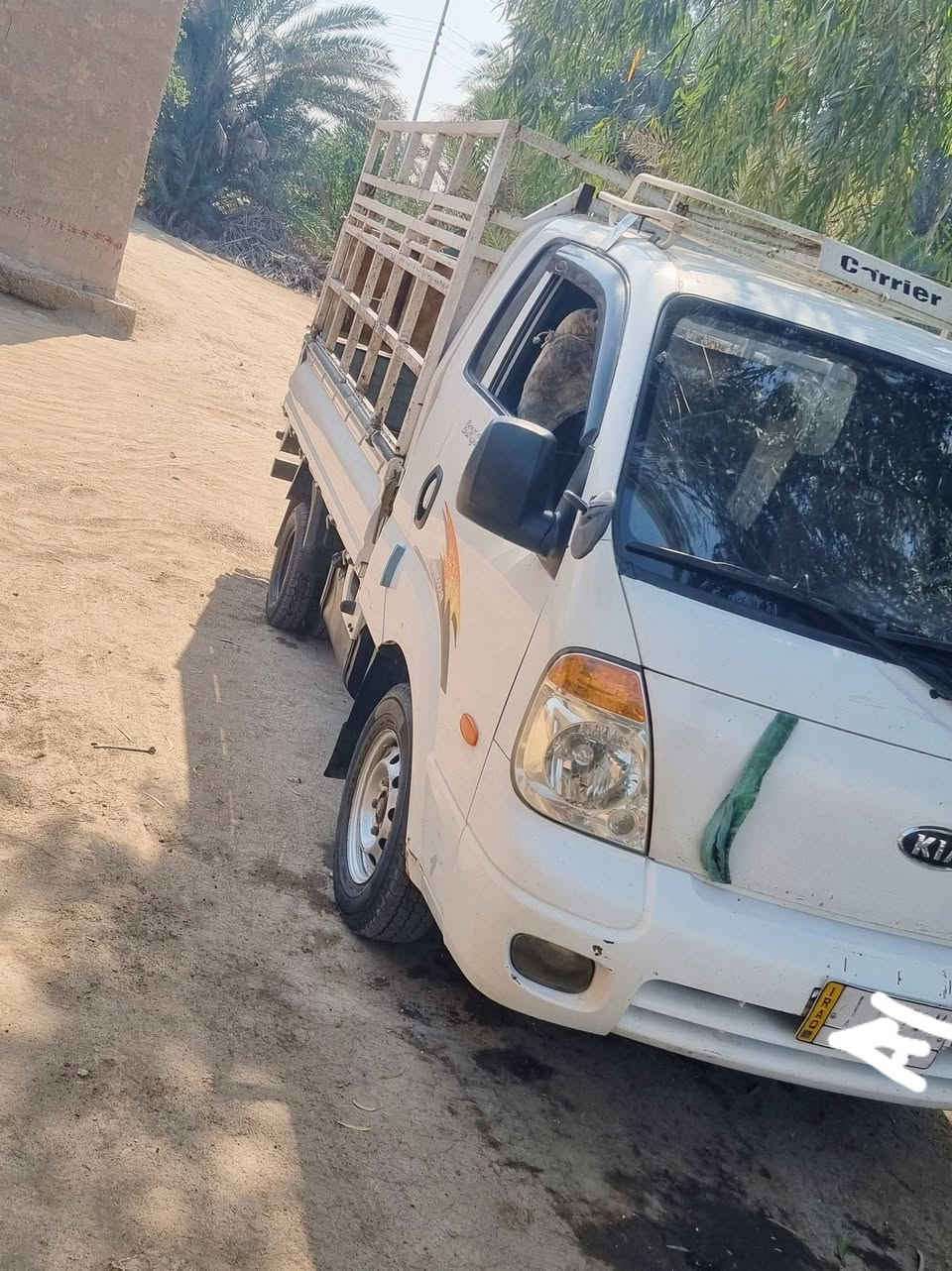 سلام عليكم اخوان عدي كيه مديل ٢٠٠٨ محرك بعده عل سحك ستوني مجفته شاصي رقم شاصي كسن كله مكفول تخم تاير جدد رقم بابل بسمي سنويه نكليزي لل٣٠ له تنتهي سعره ٩٥ وبيه مجال لشراي مكاني دوانيه ***********
