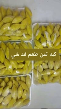 كربلاء الحسينية • كبايات • توصيل