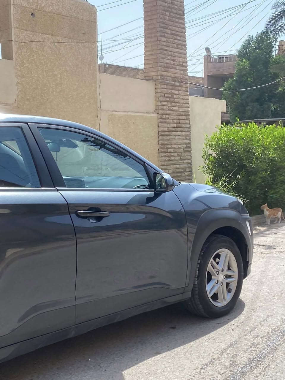 سلام عليكم كونا موديل 2020رقم بغداد هزه وفحص وسنويه كله جديد تحويل مباشر حادثه جاملغ وربع بنيد محرك كير كله مكفول صدر تخم تايرات جديد سياره جاهزه اخرر حبايه اي استفسار اتصل عل الرقم ***********
مكاني بغداد قرب مرور مال الحسينيه 
السعر 125وبيهه مجال
