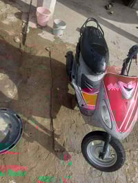 ماكس منغولي • بوشه ٥٥ • ماناقصه