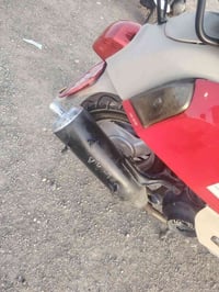 ماكس بوليس • كابريتر • جصان