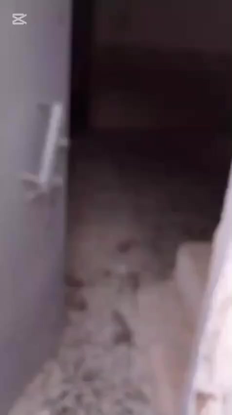 7.🏠بيت50متر طابق واحد دولان للبيع ب الحولي قرب شارع جامعة الكفيل السعر 30مع المجال.
🟤الاساس تجعيب والسقف شيلمان وكاشي وسيرامي مثل ما موضح بالفيديو. 

🟢يحتوي ع غرفة وصالة ومطبخ وصحيات. 

للأستفسار ع هذا الرقم *********** واتساب. 
*********** واتساب. 
غير متواجد ع الفيس.
