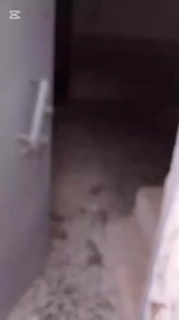 الحولي قرب جامعة الكفيل • ٥٠متر • دولان