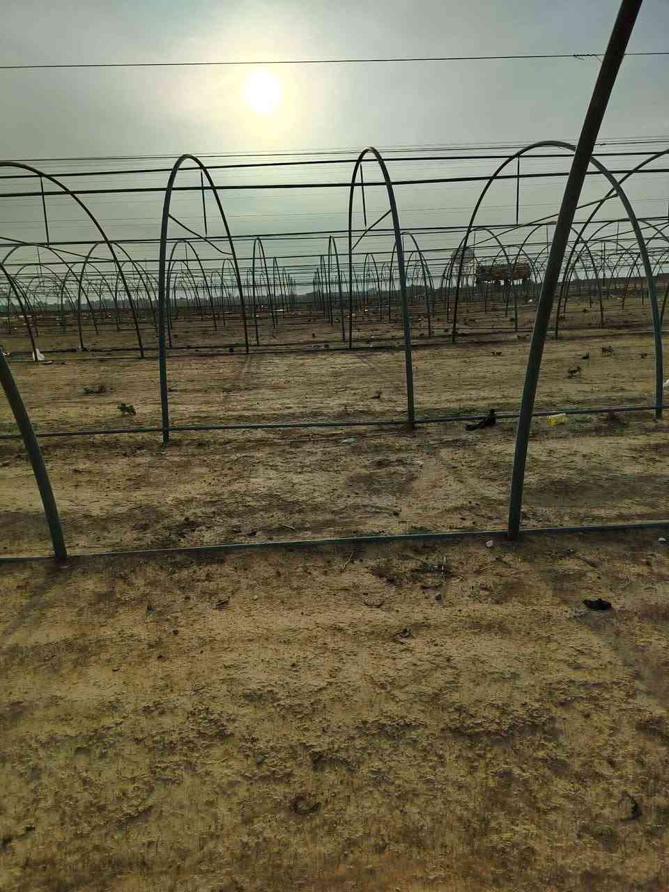 #السلام عليكم اخوان على بركه الله تعالى تم وصول وجبه جديده من البيوت البلاستيكية اردني كوي مستعمل حديد ثقيل مغلون /2 /ملم عدد الاقواس/ 24/ قوس الطول/56/ متر والعرض/9/ متر
#يتوفر نايلون بيوت بلاستيكية
#يتوفر سيم مغلون للبيوت البلاستيكية 
#يتوفر تجهيز بيوت للزراعة والمشاتل كرستة وعمل
#يتوفر تجهيز حقول دواجن كرسته وعمل
#للاستفسار ***********/*********** يوجد توصيل لكافه المحافضات ويتوفر كادر نصب متخصص بالبيوت البلاستيكية 
#العنوان. بابل محاويل ناحيه الامام الطريق السريع.
