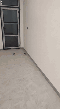 #شبابيك_المنيوم_سلايت 
اخر الاعمال التي تم انجازها في
سعر المتر٨٥$
شركة الكناني للمطابخ التركية والاوربية والديكورات و القواطع البلاستيكية و ابواب ال pvc

التصميم🖌 و القياسات 📏والتركيب🛠 والتوصيل🚛 مجانا 

     ⭐مستعدين للعمل بكافة المحافظات . بأضافة اجور نقل وتركيب 

عند الاتفاق دفع نصف المبلغ مقدما والباقي عند التسليم.

عملنا فقط بالخشب التركي او الالمنيوم التركي او الpvc التركي .
نعتذر عن التعامل بالاقساط

مستعدون لتنفيذ اعمال الالمنيوم التركية بكافة انواعها و اشكالها و بألوان متعددة و متميزة.. 
مستعدون لتنفيذ كافة اعمال المحجرات للمنازل و الشركات و الدوائر الحكومية بأسعار تنافسية و كوادر ذو خبرة عالية 💫👷🏼‍♂️👌🏼

تمتلك الشركة كوادر عمل متخصصة في تنفيذ الاعمال بدقه كبيرة  المواد المستخدمة في العمل من مناشئ تركية و عالمية بكفائات و جودة عالية .
للاستفسار الاتصال على الرقم التالي 👇🏻 مرتضى الكناني 

👈  *********** 👉
