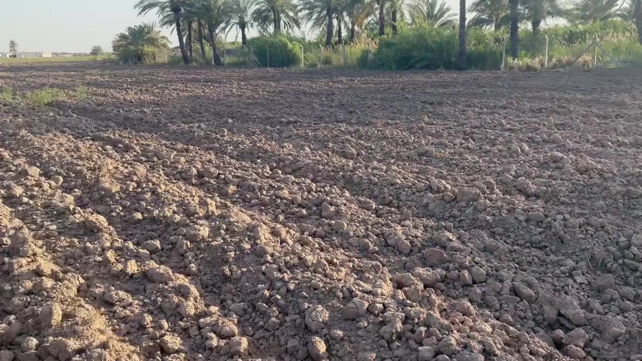 السلام عليكم 

دوانم ملك طابو صرف تحويل سند 

الموقع /بغداد الدوره عرب جبور 
قرب مزرعه شفيق المعجون 

المساحه 17500 /(7) دونم

الواجهه 45م بالنزال

*********** ابو علي
*********** ابو فهد
