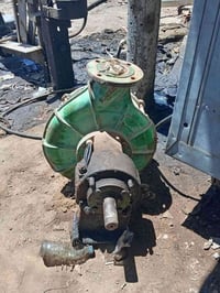 خنزيرة للبيع  نوع ايطالي   دبل بشارة حلواني شغالة جاهزة  السعر ٥٠٠الف ...