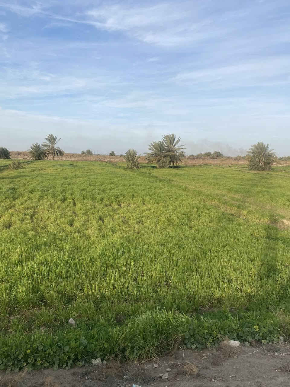 البيع4دونم شاطي مكاني على طريق ممحله ال حناج تفاصيل***********
