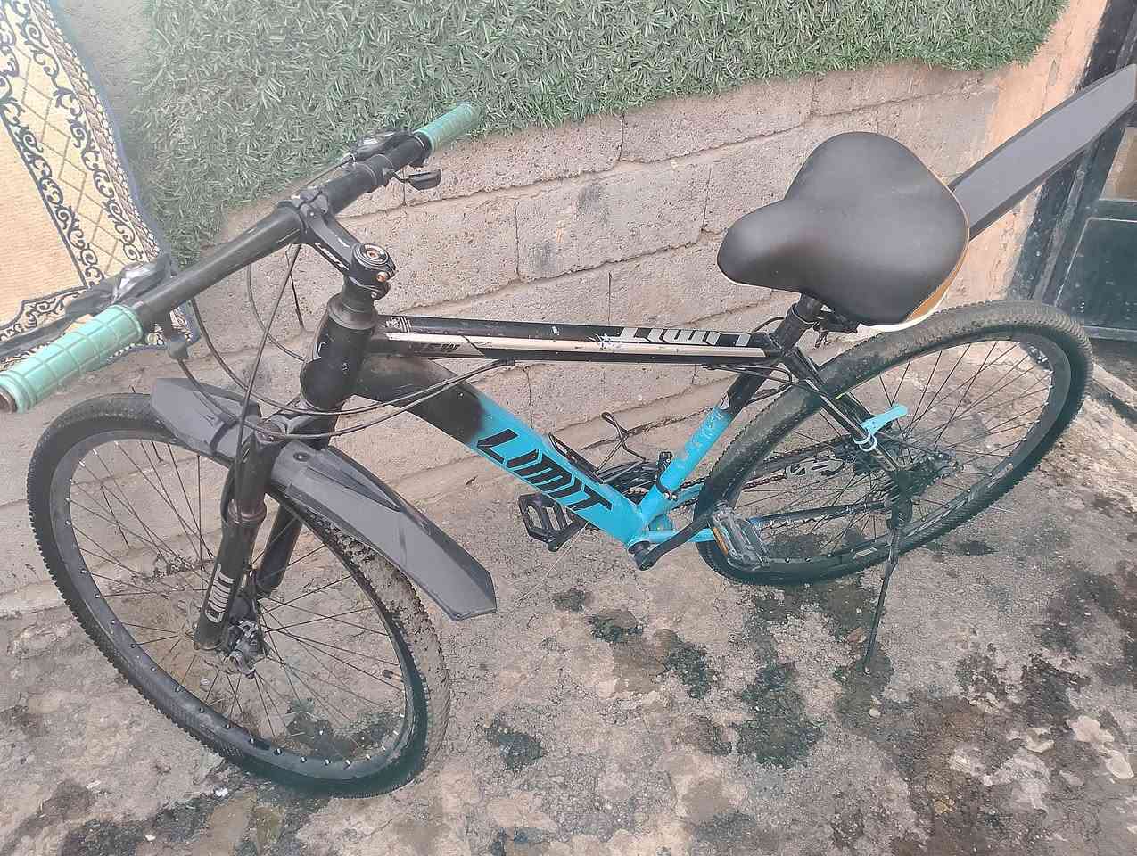 للبيع سعر 60  نقصه بس شد العكرب و السيامه مال البريك موجودات بس شدهن مكان الدورة


**إذا كنت صاحب هذا الإعلان وتريد حذفه لأي سبب، رجاءا أرسل رسالة إلى الدعم الفني**