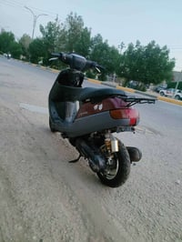 قبطه • شغالة • قابل تفاوض