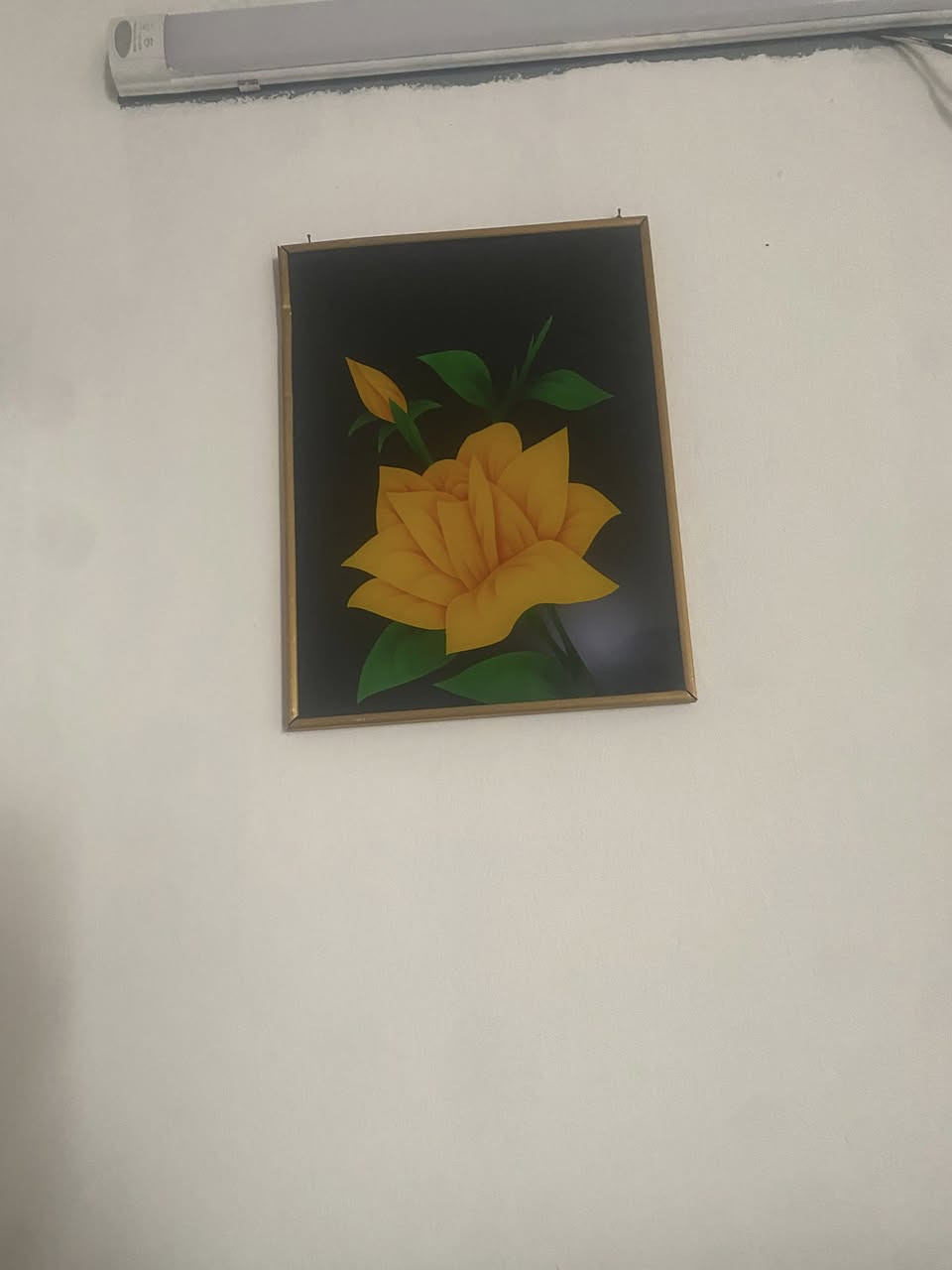 زوج ١٠ سيديه


**إذا كنت صاحب هذا الإعلان وتريد حذفه لأي سبب، رجاءا أرسل رسالة إلى الدعم الفني**