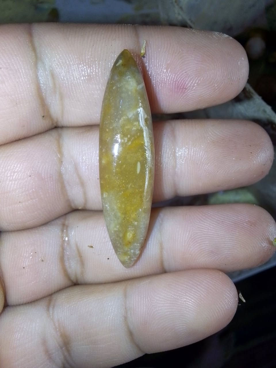 للبيع سعر 30 مع التوصيل


**إذا كنت صاحب هذا الإعلان وتريد حذفه لأي سبب، رجاءا أرسل رسالة إلى الدعم الفني**