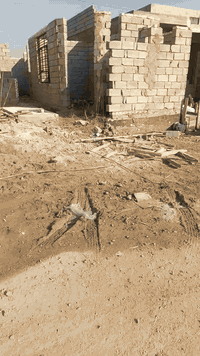 الاستفسار ***********
