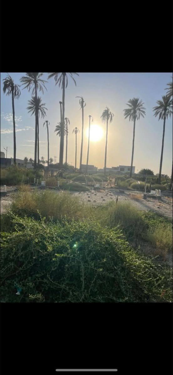 ١٥٠ متر وجها ٧ ونص  خدمات كامله. ***********
