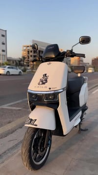 دراجة شحن • TAILG تيسلا • 2000 واط