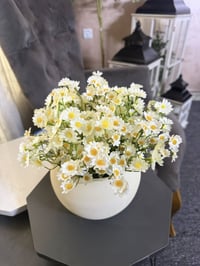 أغراض منزلية • ديكور منزلي • للبيع