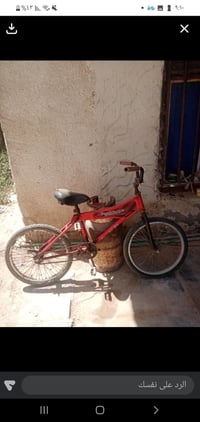 بيسكل • نظيف