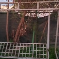 حديد حديقة • حديد ثقيل • حي الزراعي