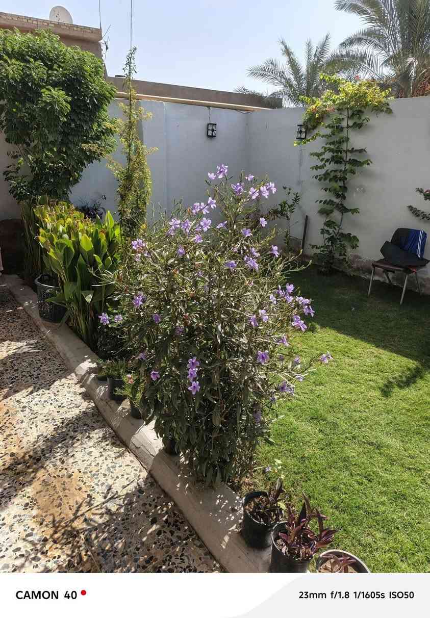 اللهم صل على محمد وآل محمد بيت لبيع طابو زراعي مسلح المساحة ٢٥٠ متر كل الخدمات متوفره الاستفسار *********** وتساب
