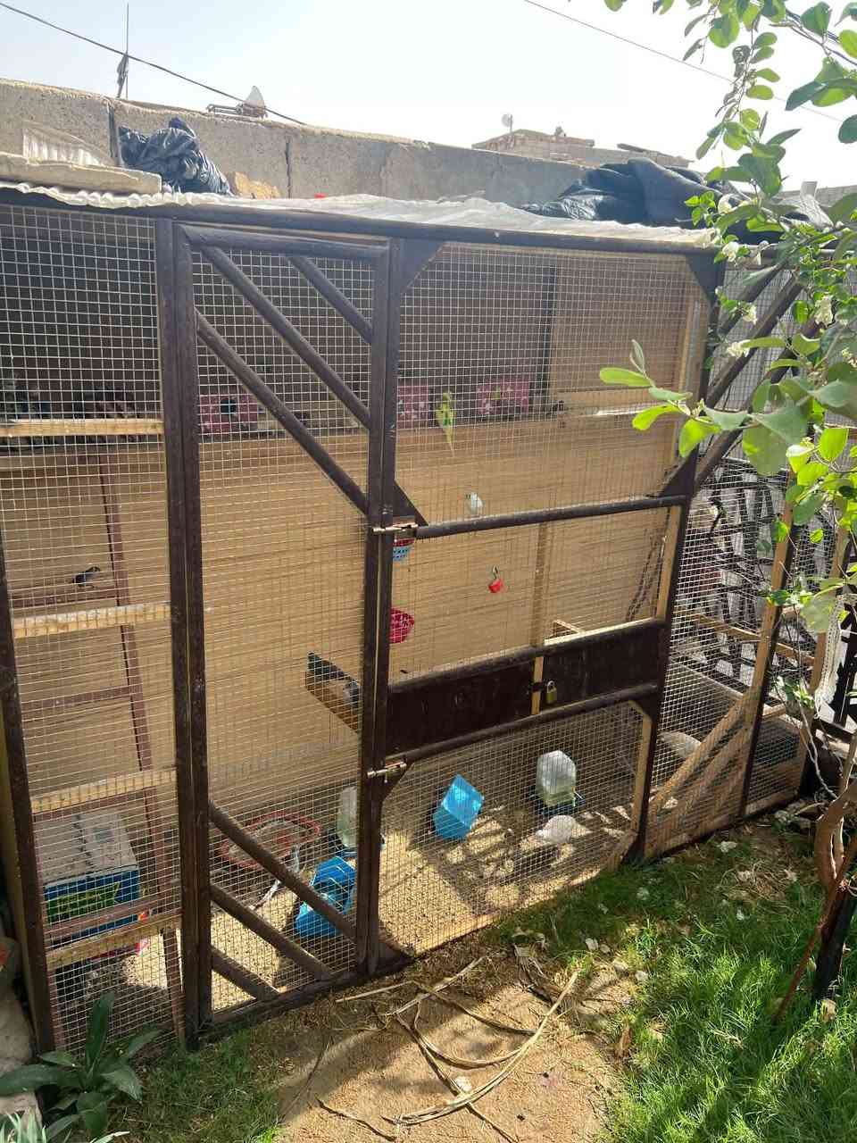 سلام عليكم 
قفص للبيع 
طول مترين ونص / ارتفاع مترين / عرض 80


**إذا كنت صاحب هذا الإعلان وتريد حذفه لأي سبب، رجاءا أرسل رسالة إلى الدعم الفني**