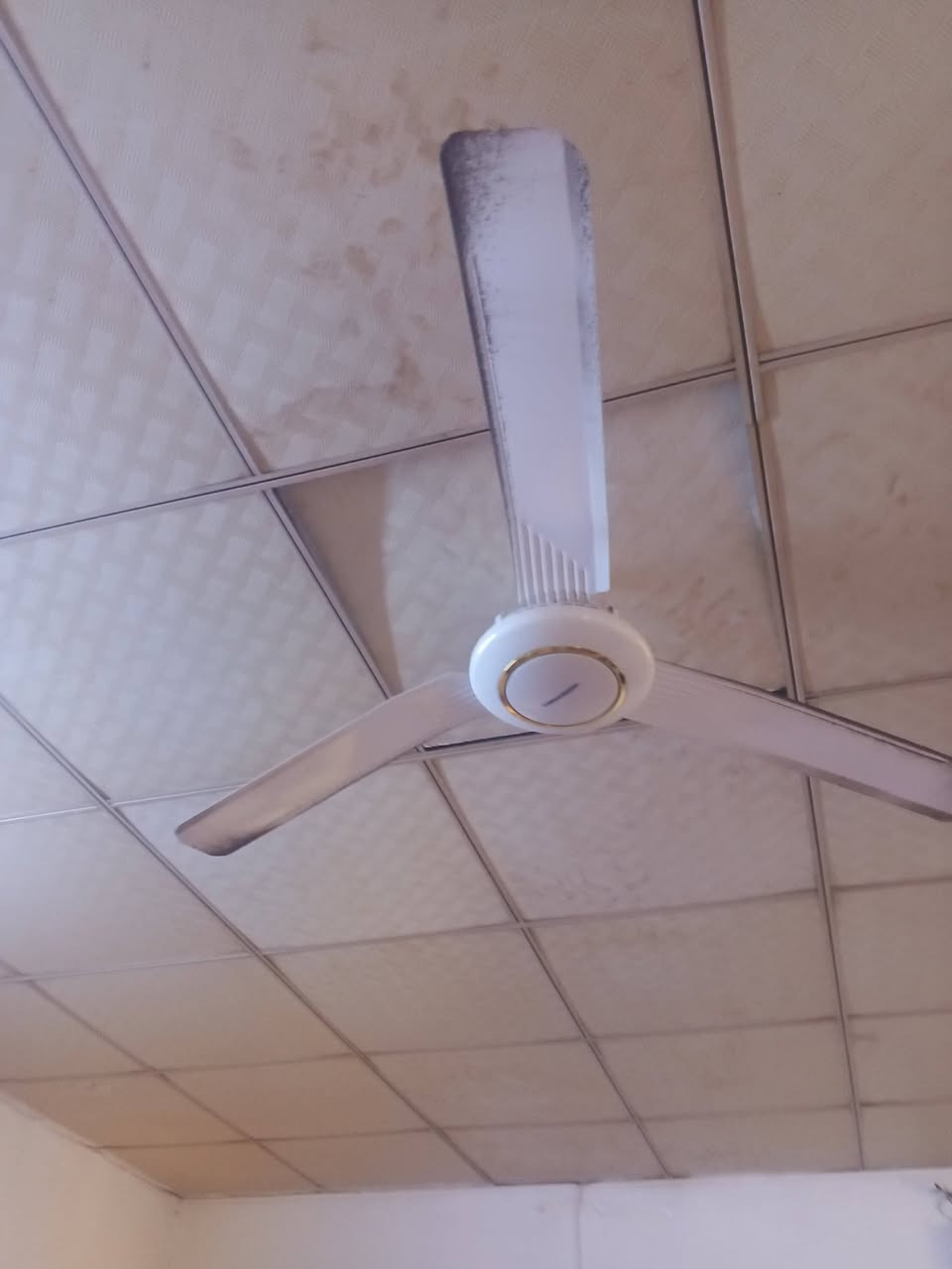 سعر القطعه 20 الف ثنين ب 40


**إذا كنت صاحب هذا الإعلان وتريد حذفه لأي سبب، رجاءا أرسل رسالة إلى الدعم الفني**