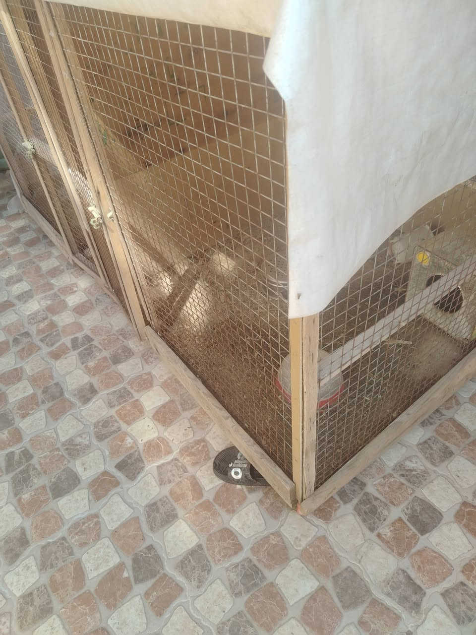 للبيع قفص اخو الجديد فصال
طول مترين عرض متر


**إذا كنت صاحب هذا الإعلان وتريد حذفه لأي سبب، رجاءا أرسل رسالة إلى الدعم الفني**
