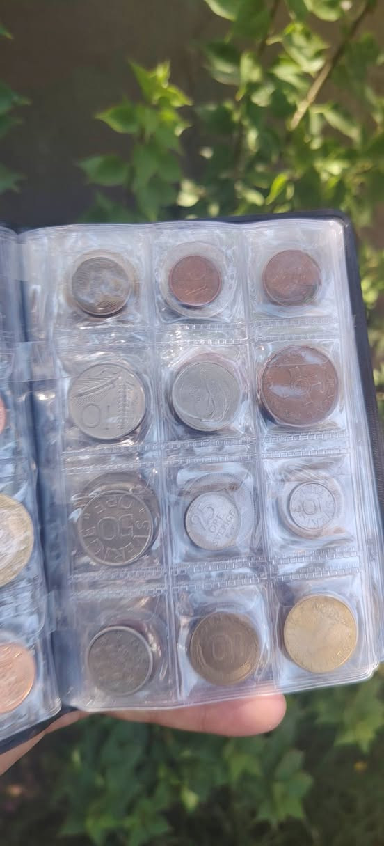 البوم دراهم يحتوي على 120 عملة تواريخ قديمة


**إذا كنت صاحب هذا الإعلان وتريد حذفه لأي سبب، رجاءا أرسل رسالة إلى الدعم الفني**