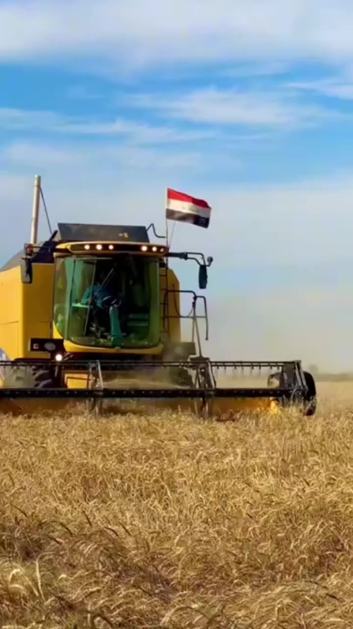 ارض زراعيه عقد 35 مداور باسم المشتري عشر مشاير على طريق سيد محمد قريه الناطور ماي كهرباء تبليط يوجد مدرسه مسافه عنها  ابتدائي ومتوسطه مكانه حلو اتصل بيك خير وتدلل الرقم ‏‪***********‬‏
