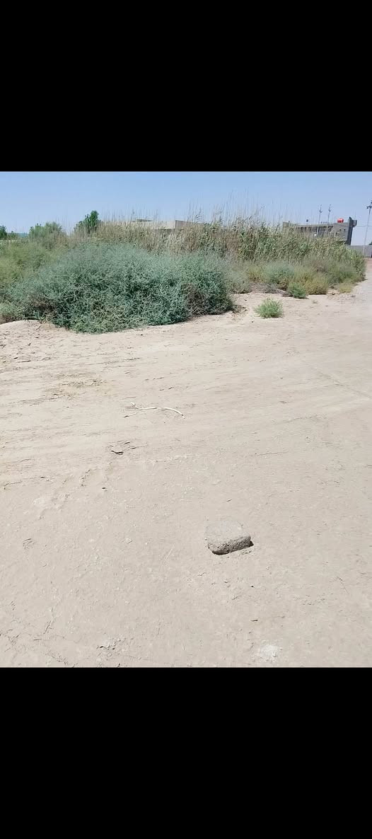 السلام عليكم عدنه دولم لبيع
 3دولام الوجه 150والنزال 250 
و5ودولالم الوجهه 250والنزال 250
لبيع طابو 25حق التصرف طابو التفاصي ***********
