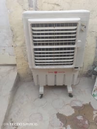 كونفيره • حجم كبير • عاطلة