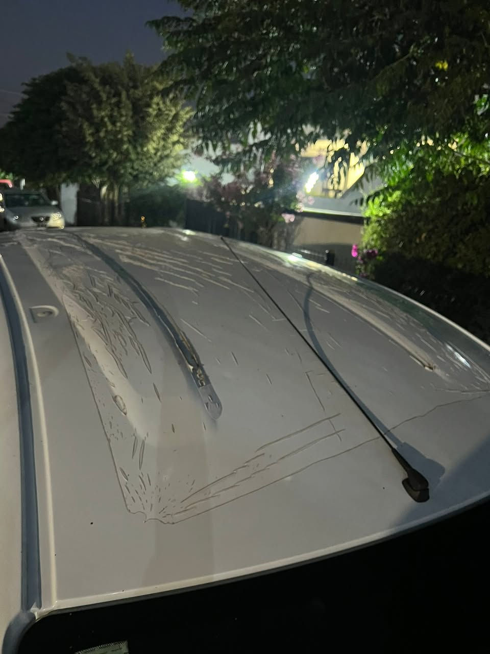 رینۆ ٢٠٢٠فان
١١٨km
112$مجال
***********
