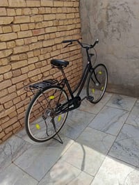 باسكل • للبيع • خاص