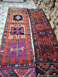 سجاد • الشطره • ذي قار