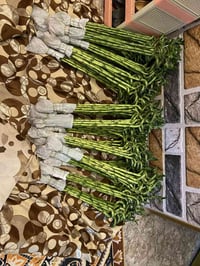 يا الله الهم صلي عله محمد والي محمد وجيناكم بعروظ عصه موسه كل تلاثه ود...