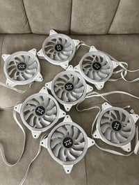 فانات • أبيض • بغداد